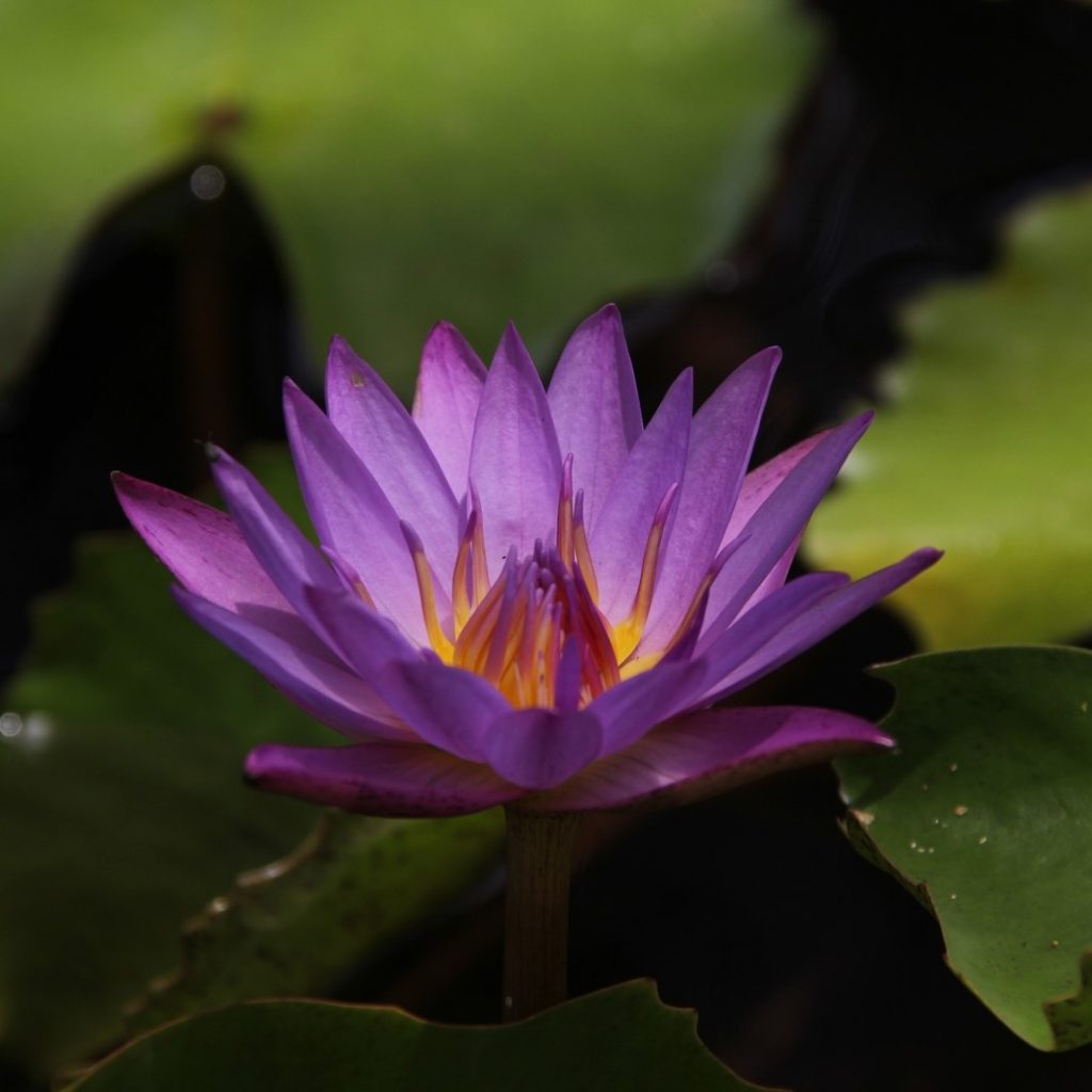 Über mich Martin Hoßfeld Dr. Tai Chi